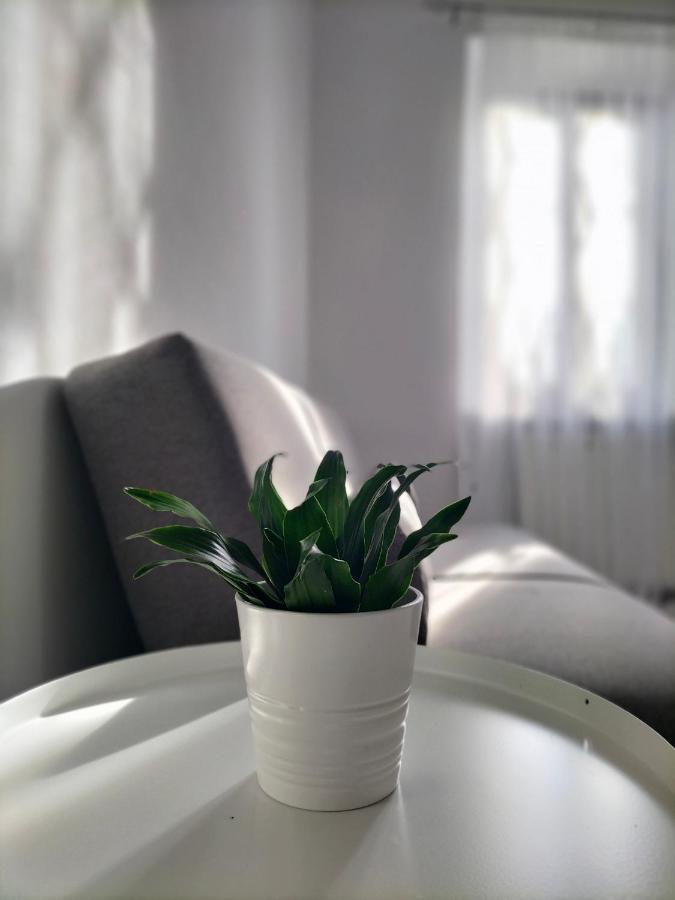 Apartmán Casa Mina Omegna Exteriér fotografie